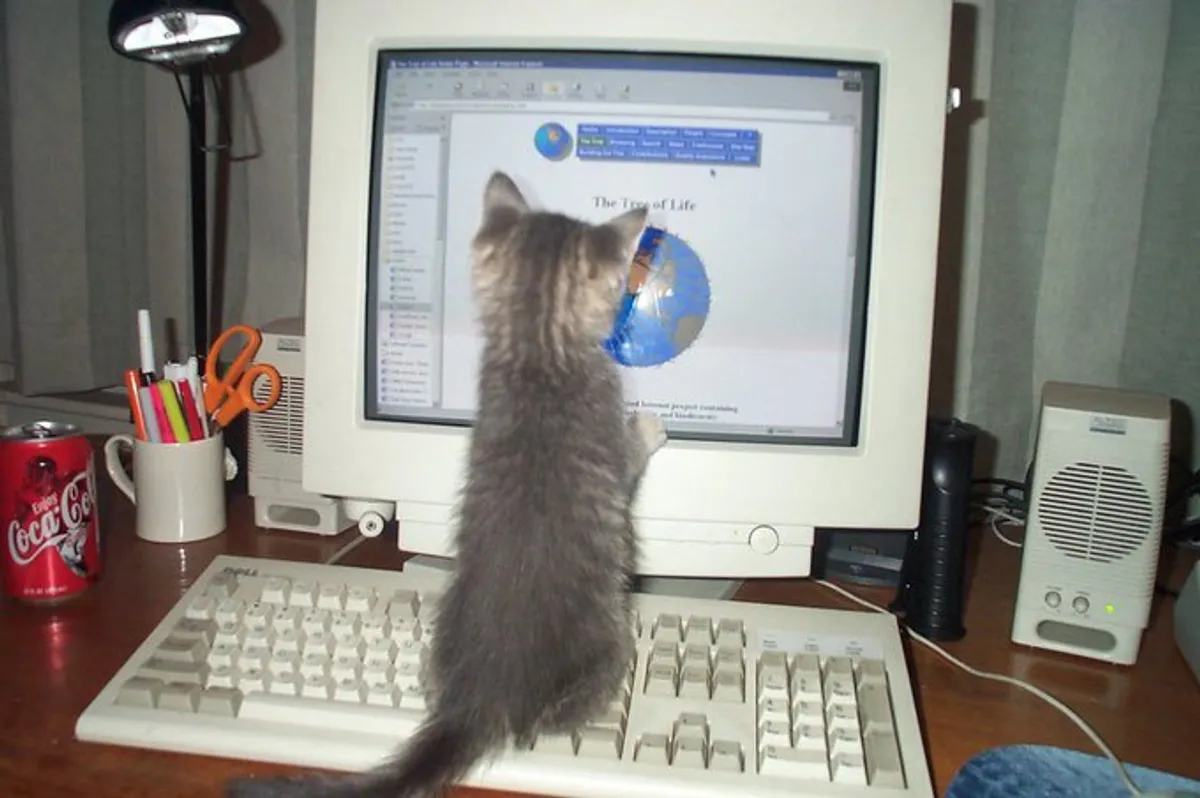 IT Automation & Orchestration - Project